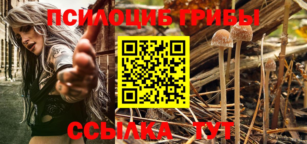 Псилоцибиновые грибы мухоморы Благовещенск